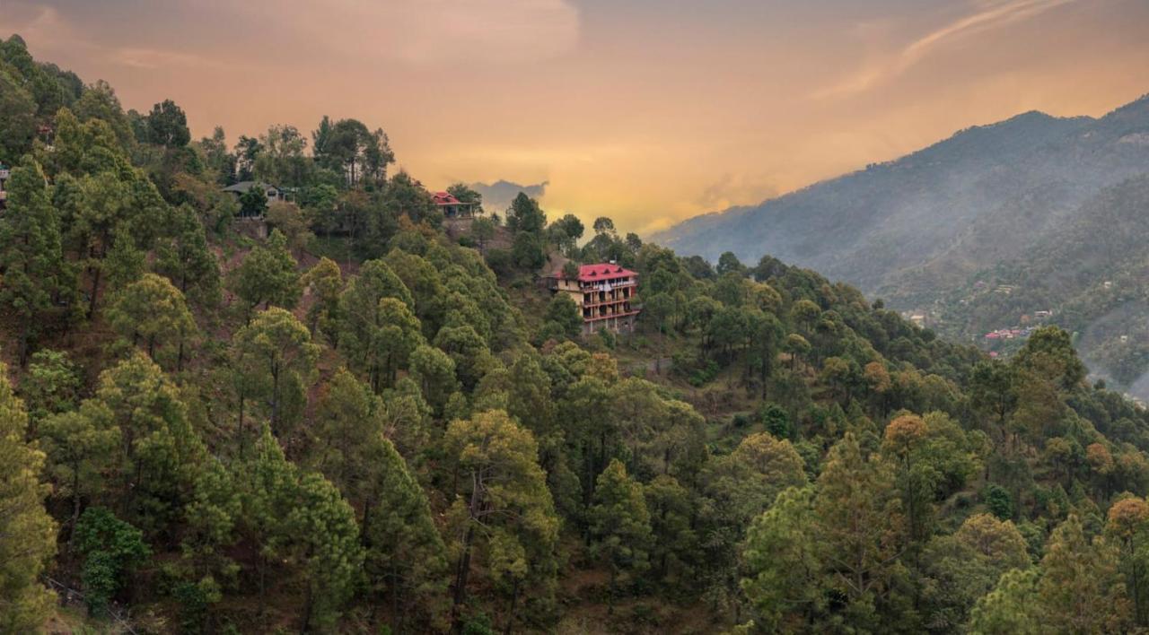 Host Jatin Kasauli Pine Villa 7Oi827O7O3 Kültér fotó
